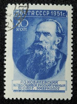 Colnect-6069-805-Alexander-O-Kovalevsky-1840-1901-Russian-biologist.jpg