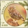 Colnect-3566-064-Little-Owl---Athene-noctua.jpg