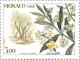 Colnect-149-308-Olive-branch-in-Spring.jpg