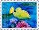 Colnect-5576-549-Orange-striped-triggerfish.jpg