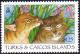 Colnect-4002-855-Felis-Domesticus.jpg