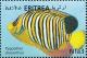 Colnect-3532-102-Royal-Angelfish-Pygoplites-diacanthus.jpg