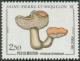 Colnect-876-297-Sheepsfoot-Hydnum-repandum.jpg