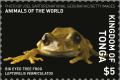 Colnect-5577-128-Peacock-Tree-Frog-Leptopelis-vermiculatus.jpg