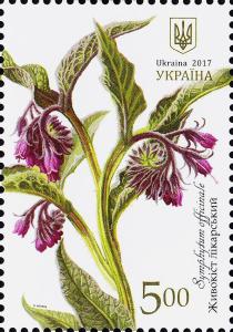 Colnect-4309-241-Common-comfrey-Symphytum-officinale.jpg