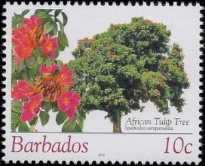 Colnect-2342-324-African-tulip-tree.jpg