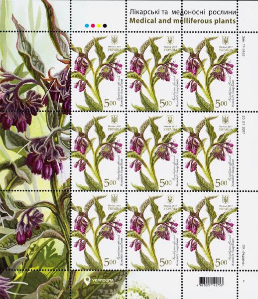 Colnect-4309-242-Common-comfrey-Symphytum-officinale.jpg