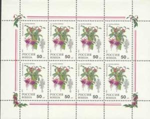 Colnect-190-678-Fuchsia-hybrida.jpg