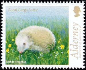 Colnect-2723-902-Blonde-Hedgehog-Erinaceus-europaeus.jpg