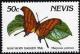 Colnect-2159-928-Ruddy-Daggerwing-Marpesia-petreus.jpg