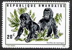 Colnect-1256-028-Two-Young-Gorillas-Gorilla-beringei.jpg