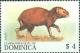 Colnect-3228-419-Common-Agouti-Dasyprocta-agouti.jpg