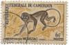 Colnect-1038-213-Moustached-Guenon-Cercopithecus-cephus.jpg