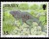 Colnect-706-726-Blue-Iguana-Cyclura-lewisi.jpg