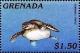 Colnect-4391-345-Hawksbill-turtle.jpg