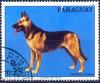 Colnect-2321-619-German-Shepherd-Canis-lupus-familiaris.jpg