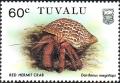 Colnect-2661-569-White-spotted-Hermit-Crab-Dardanus-megistos.jpg