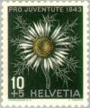 Colnect-139-781-Silver-Thistle-Carlina-acaulis.jpg