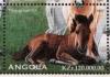 Colnect-5261-586-Thoroughbred-Colt.jpg