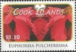 Colnect-2209-648-Euphorbia-pulcherrima.jpg