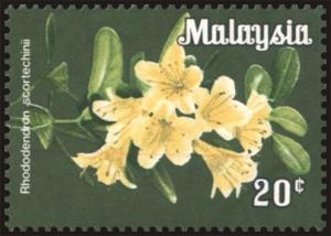 Colnect-5747-961-Flowers-Rhododendron-scortechinii.jpg
