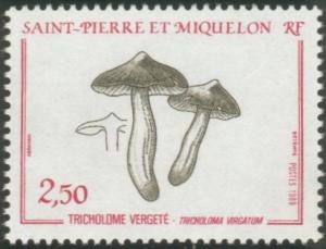 Colnect-876-280-Verget-Tricholoma-Tricholoma-virgatum.jpg