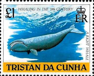 Colnect-6045-731-Southern-Right-Whale-Eubalaena-australis.jpg