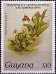 Colnect-4146-046-Masdevallia-shuttleworthii---MXanthocorys.jpg