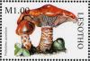 Colnect-1736-204-Tricholoma-aurantium.jpg