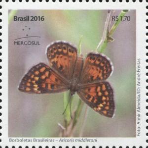 Colnect-5190-792-Aricoris-middletoni.jpg