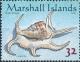 Colnect-2973-336-Chiragra-Spider-Conch-Lambis-chiragra.jpg