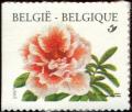 Colnect-5720-204-Rhododendron-Simsii-Selfadhesive-Left-imperforate.jpg