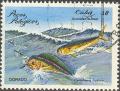 Colnect-666-450-Common-Dolphinfish-Coryphaena-hippurus.jpg