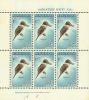 Colnect-3535-650-Sacred-Kingfisher-Halcyon-sancta.jpg