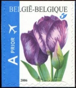 Colnect-5718-809-Rembrandt-Tulip-Self-adhesive---top-imperf.jpg