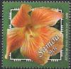 Colnect-3614-520-Hibiscus-rosa-sinensis.jpg