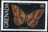 Colnect-2311-327-Black-Witch-Ascalapha-odorata.jpg