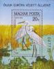 Colnect-706-028-Great-white-heron-Egretta-alba.jpg