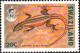 Colnect-2579-943-Common-Flat-Lizard-Platysaurus-intermedius.jpg