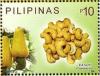 Colnect-2850-612-Kasoy-Cashew-Nut.jpg