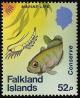 Colnect-1736-644-Rockcod-Notothenia-sp.jpg