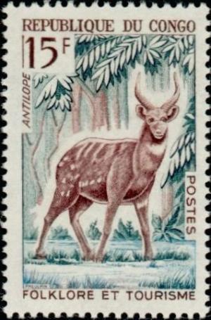 Colnect-992-386-Bushbuck-Tragelaphus-scriptus.jpg