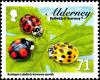 Colnect-5562-470-Harlequin-Ladybird-Harmonia-axyridis.jpg