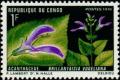 Colnect-1205-132-Brillantaisia-vogeliana.jpg