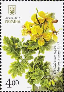 Colnect-4309-237-Greater-celandine-Chelidonium-majus.jpg