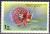 Colnect-771-113-Giant-Granadilla-Passiflora-quadrangularis.jpg