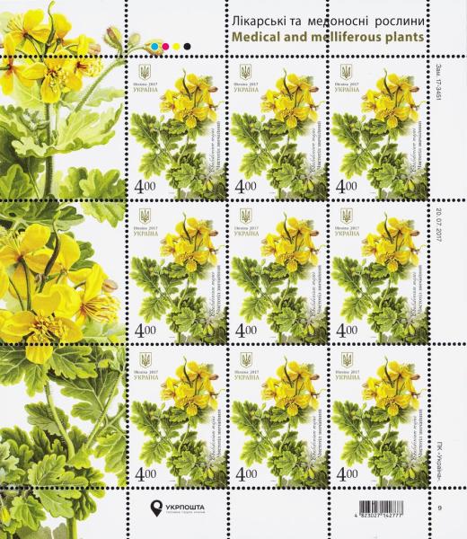 Colnect-4309-238-Greater-celandine-Chelidonium-majus.jpg