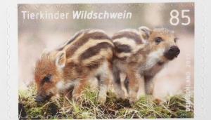 Colnect-3893-891-Wild-boar-Sus-scrofa.jpg