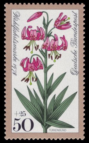 DBP_1978_984_Wohlfahrt_Waldblumen_T%25C3%25BCrkenbund.jpg