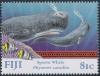 Colnect-3950-149-Sperm-Whale-Physeter-macrocephalus.jpg
